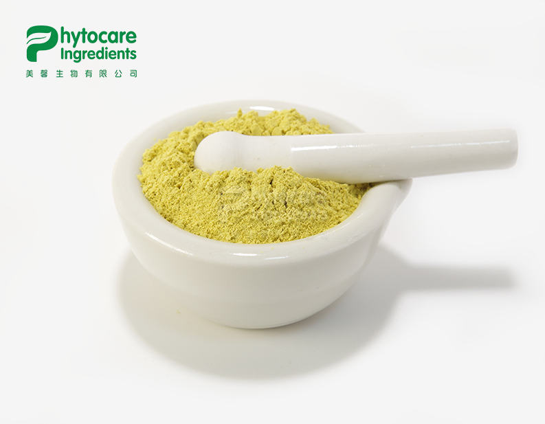 Pure Rutin Powder